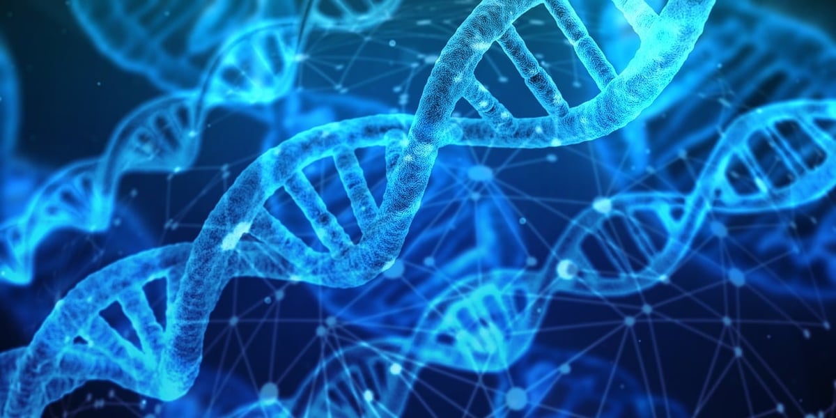 Welche Technologien revolutionieren die Medizin?